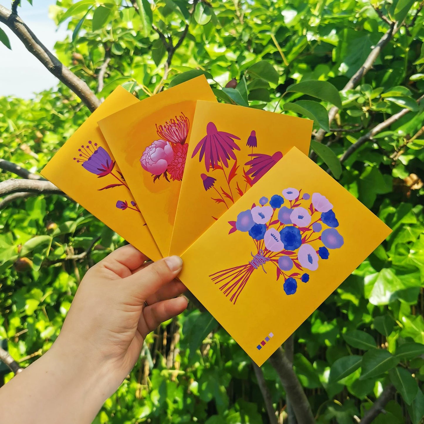 The Sunshine Collection