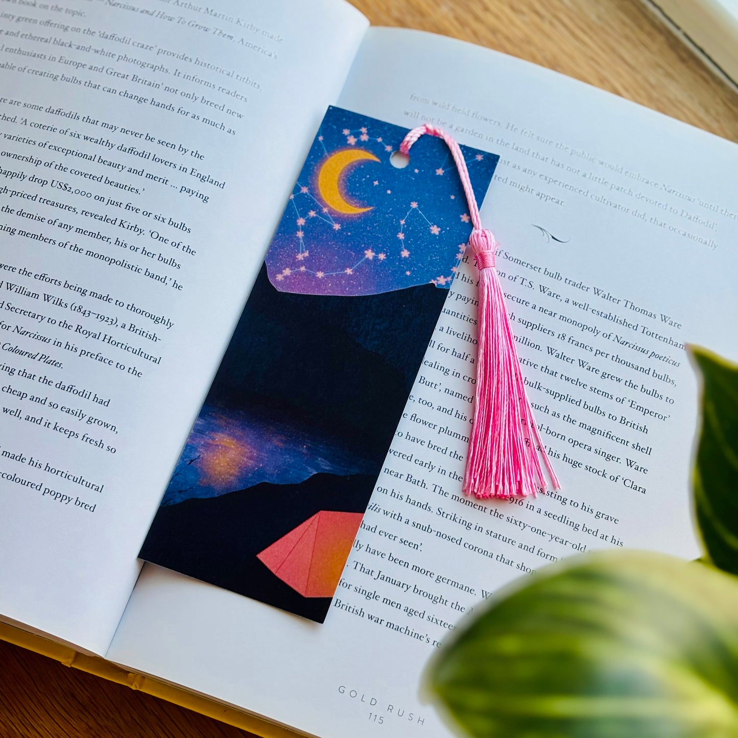 Floral Sky Camping Bookmark